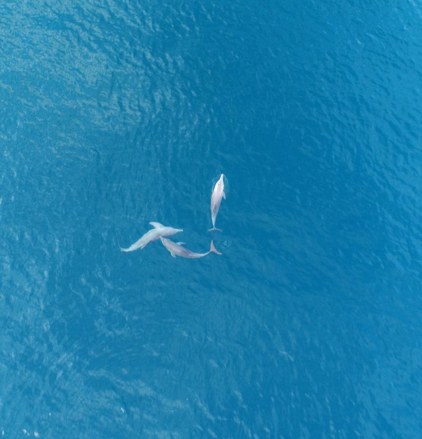Island Pavilion Hangnaameedhoo Εξωτερικό φωτογραφία